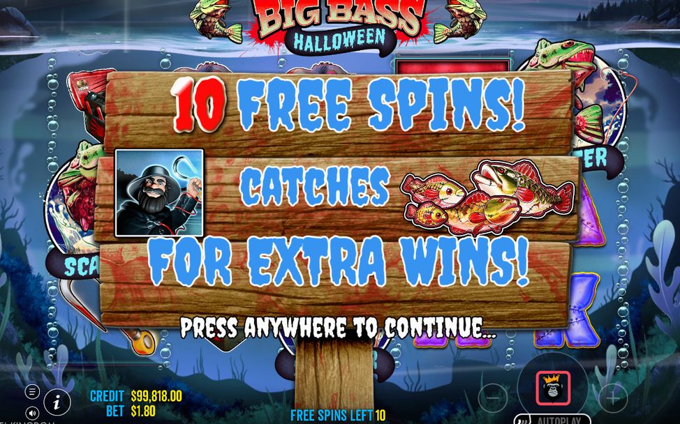 Wild on every reel during Free Spins